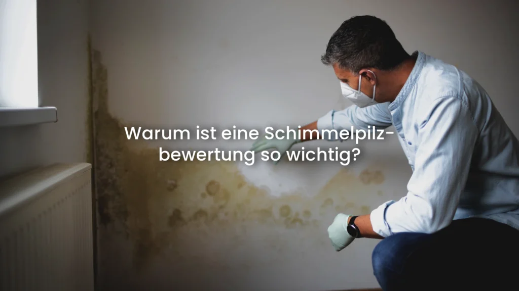 Schimmel professionell prüfen lassen: Vor-Ort-Besichtigung, Ursachenanalyse, Fotodokumentation und schriftlicher Bericht zum Festpreis 699 € inkl. MwSt. Schnelle Terminvergabe – jetzt anfragen!